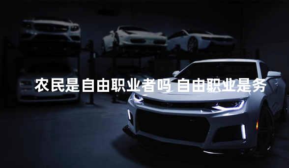 农民是自由职业者吗 自由职业是务农吗